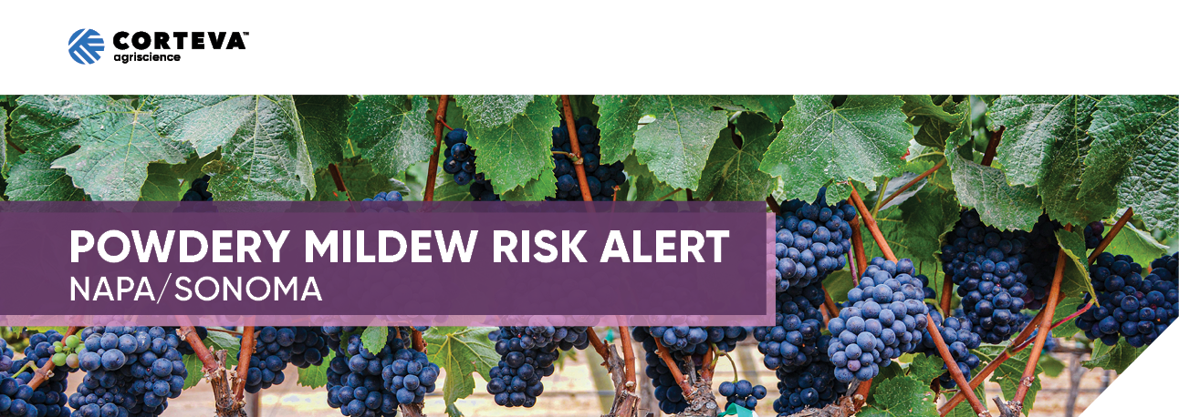 Powdery Mildew Risk Alert - Napa/Sonoma