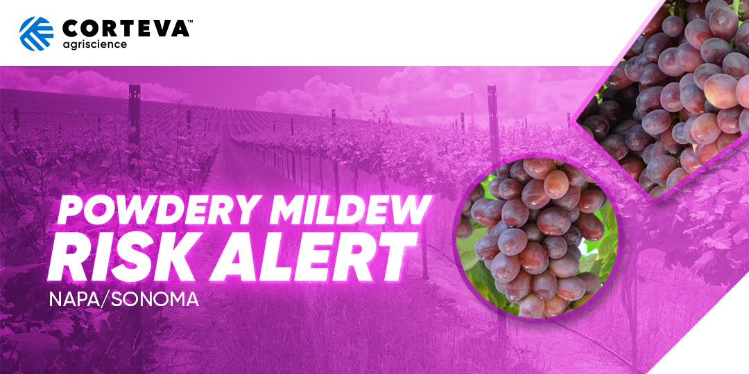 Powdery Mildew Risk Alert - Napa/Sonoma