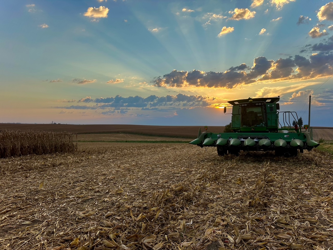 Dependable NuTech® Hybrids Earn Connor Kelley’s Trust