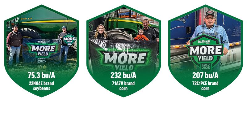 Cordt Holub, Nate Hippen, David Hepp