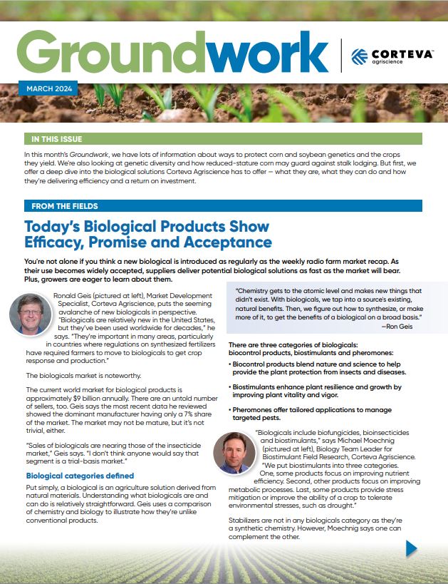 Article thumbnail image