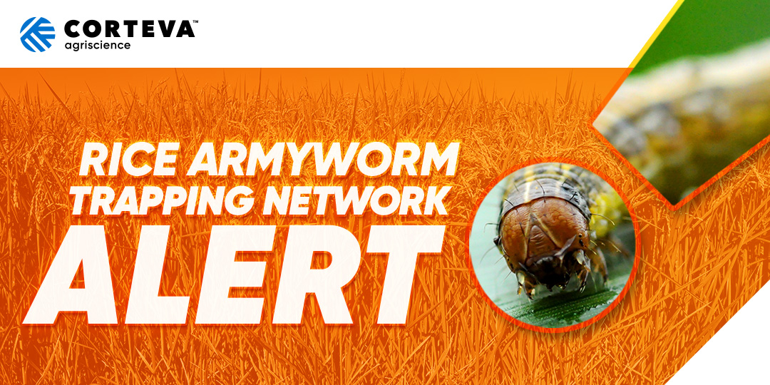 Corteva Agriscience | Rice Armyworm Trapping Network Alert