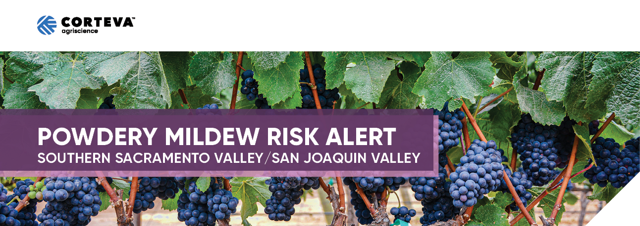 Powdery Mildew Risk Alert - Southern Sacramento Valley / San Joaquin Valley