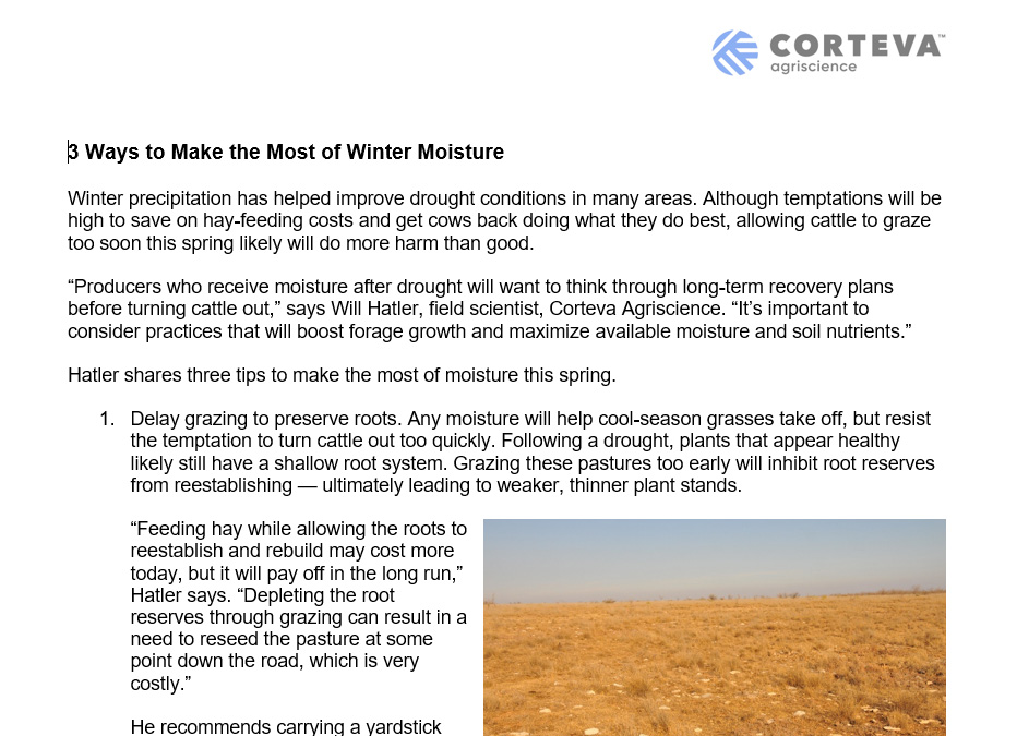3 Ways to Make the Most of Winter Moisture