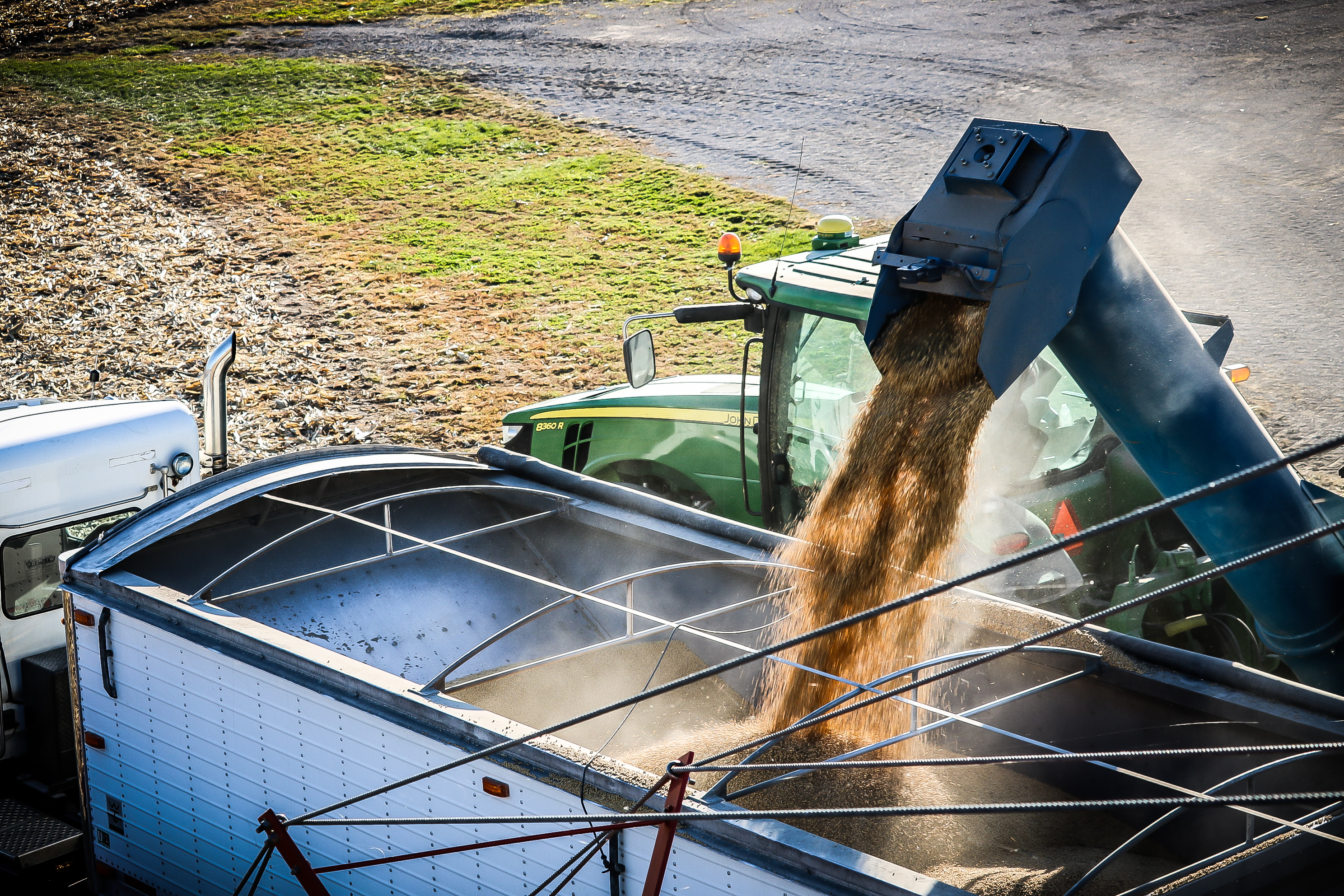 Dependable NuTech® Hybrids Earn Connor Kelley’s Trust