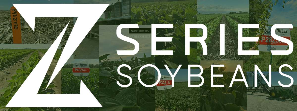 Pioneer Z-series Soybeans
