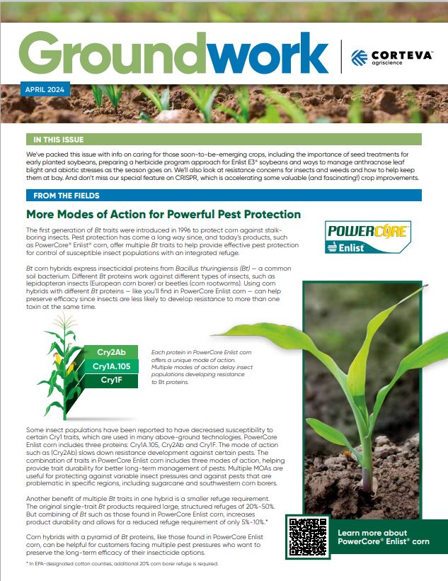 Article thumbnail image