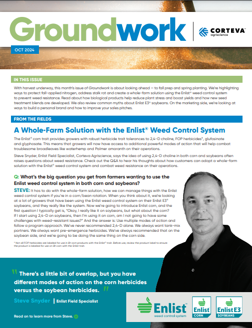 Article thumbnail image